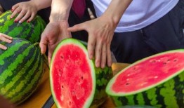 糖果君吃瓜免费视频,免费吃瓜视频背后的秘密大公开